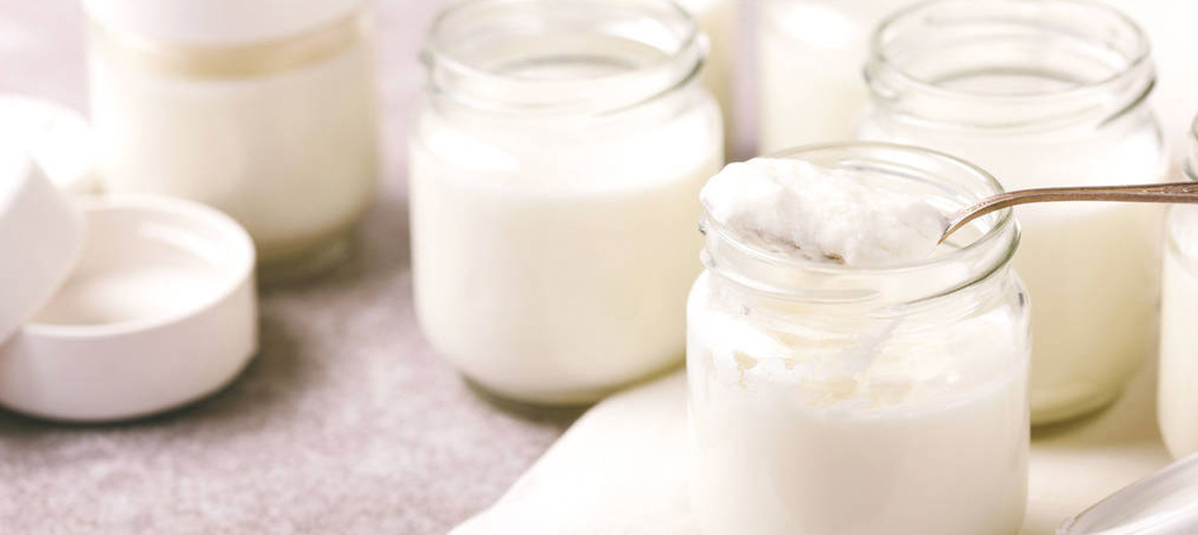 Yoghurt Maker – home yoghurt machine for fresh homemade yoghurt