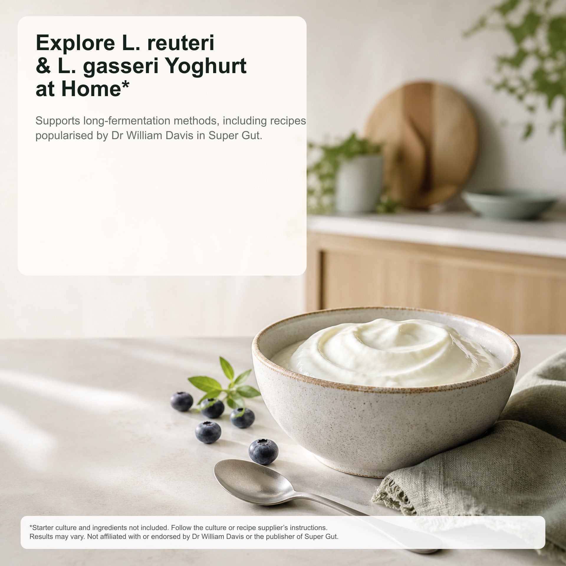 Bowl of yogurt with blueberries on a kitchen counter, promoting L. reuteri and L. gasseri yogurt.
