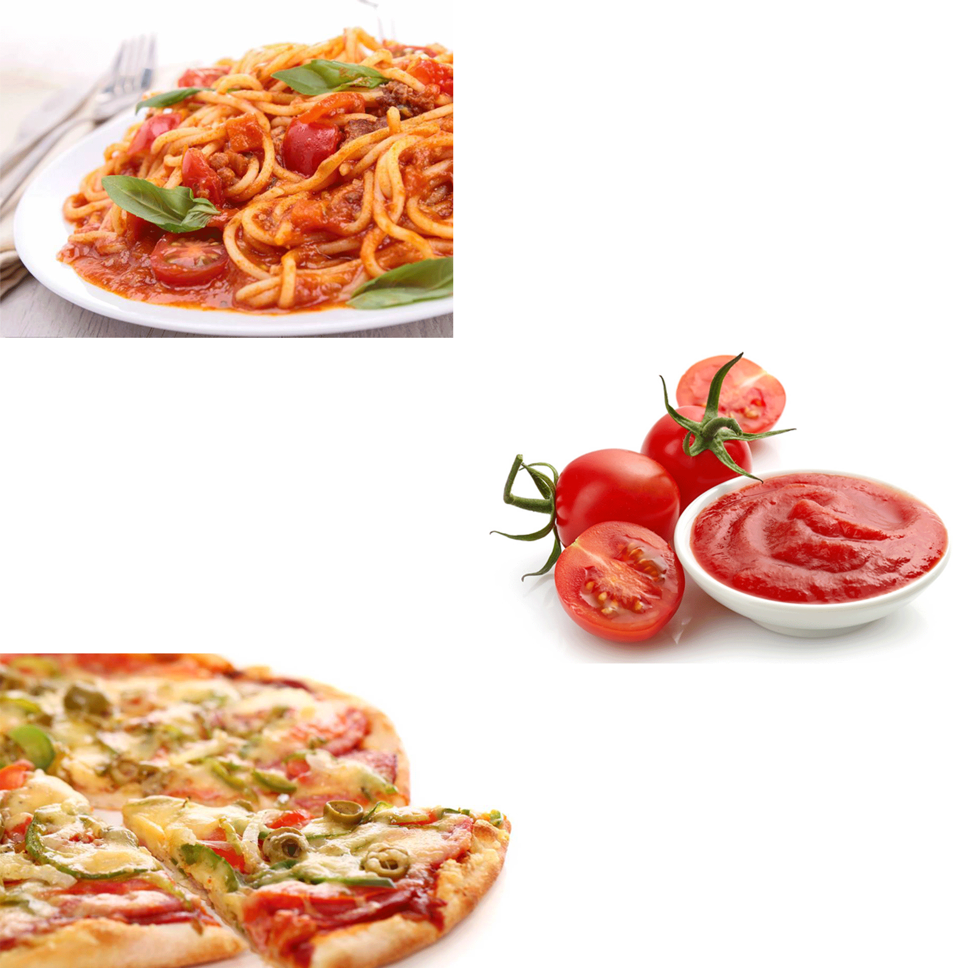 Flora Electric Meat Mincer Tomato Sauce Maker Kit for Flora 500 550 Series Electric Meat Mincer Grinder - AU STOCK