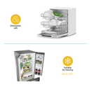 Flora Glass Food Vacuum Canister Container 3 Units Set - BPA Free Storage Jars, Dishwasher and Microwave Safe, Freezer Friendly, 2mm Thick Glass - AU Stock