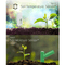 PanTech Weather Station Wireless Australia- Wifi Ultrasonic-Solar Power-PT-HP2553- AU Stock